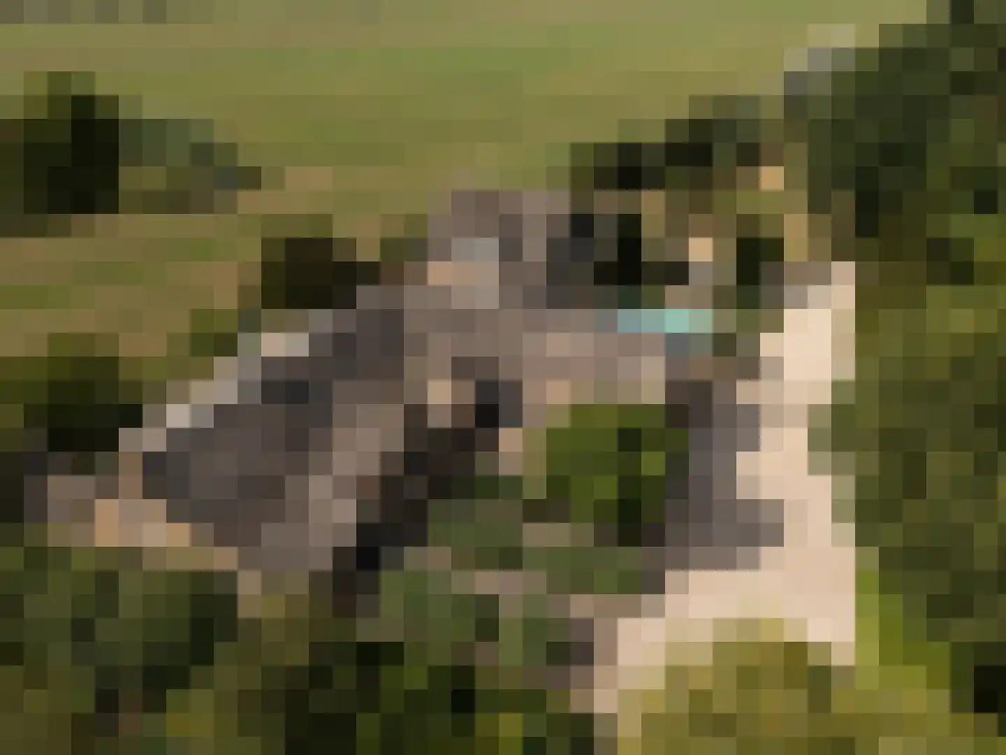 Loosdorp 24 Leerdam thumbnail 64