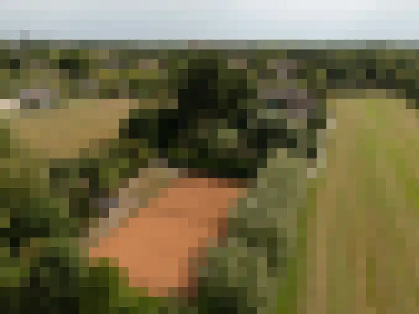 Loosdorp 24 Leerdam thumbnail 71