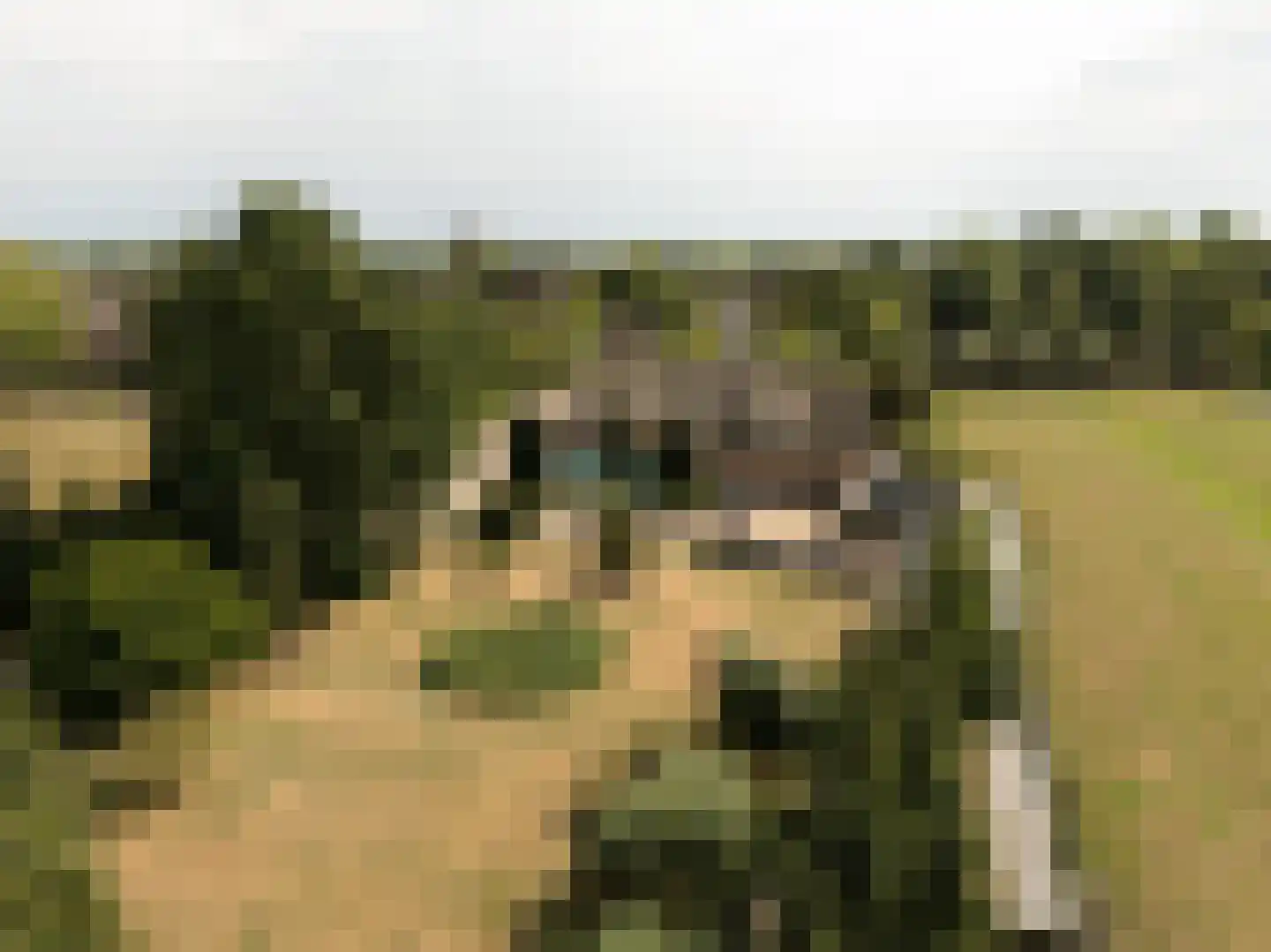 Loosdorp 24 Leerdam thumbnail 72
