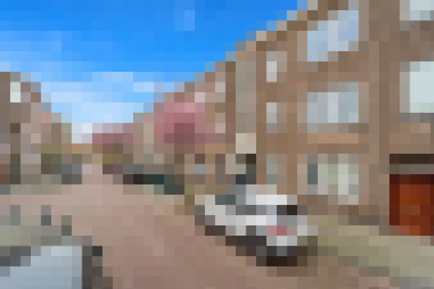 Loosdrechtsestraat 46 Den Haag thumbnail 22