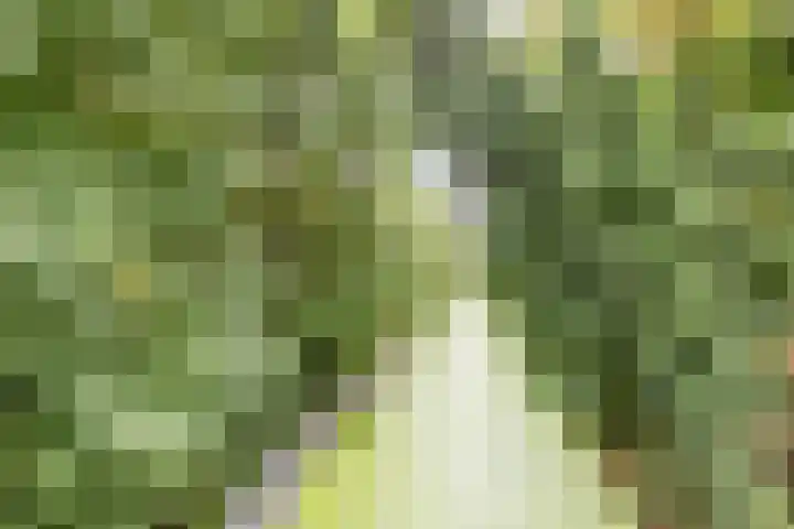 Loosdrechtseweg 10 Hilversum thumbnail 28