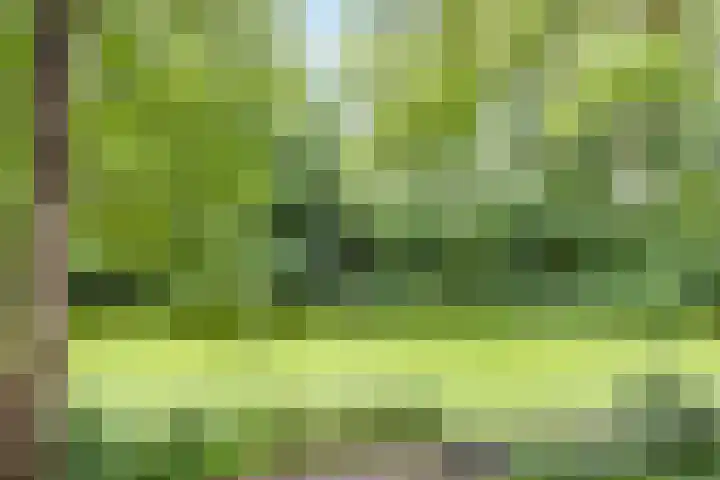Loosdrechtseweg 10 Hilversum thumbnail 29