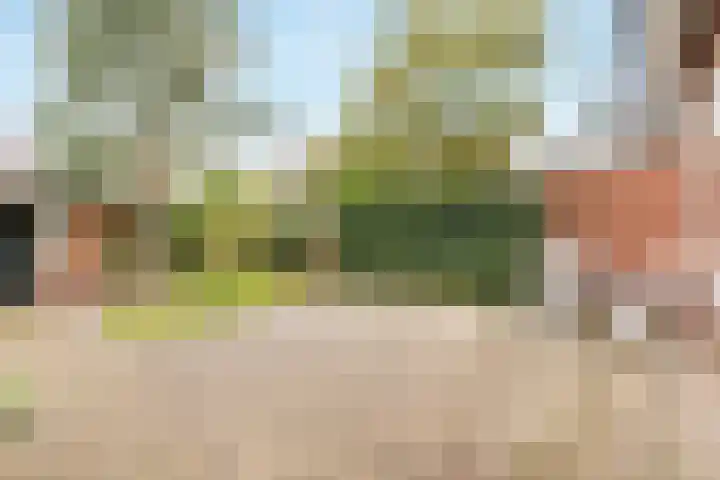 Loosdrechtseweg 10 Hilversum thumbnail 4