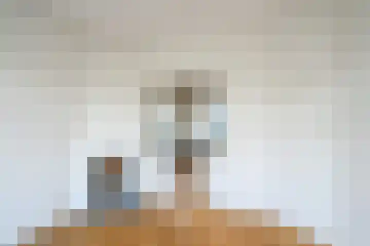 Loosdrechtseweg 102 Hilversum thumbnail 7