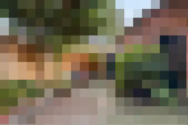 Loosdrechtseweg 129 Hilversum thumbnail 32