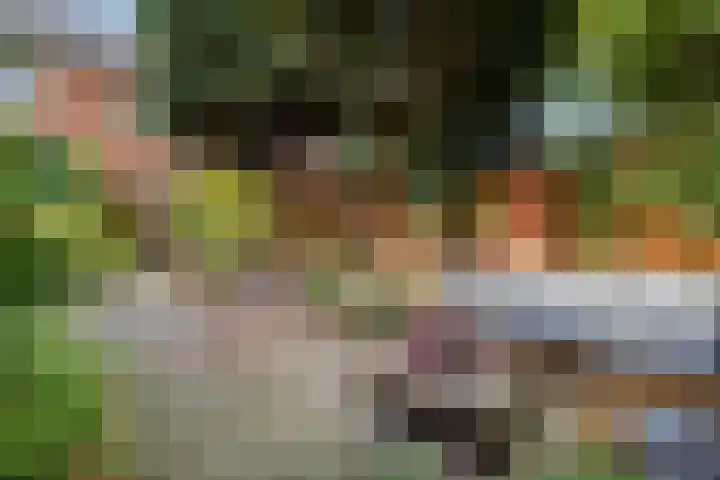 Loosdrechtseweg 129 Hilversum thumbnail 33