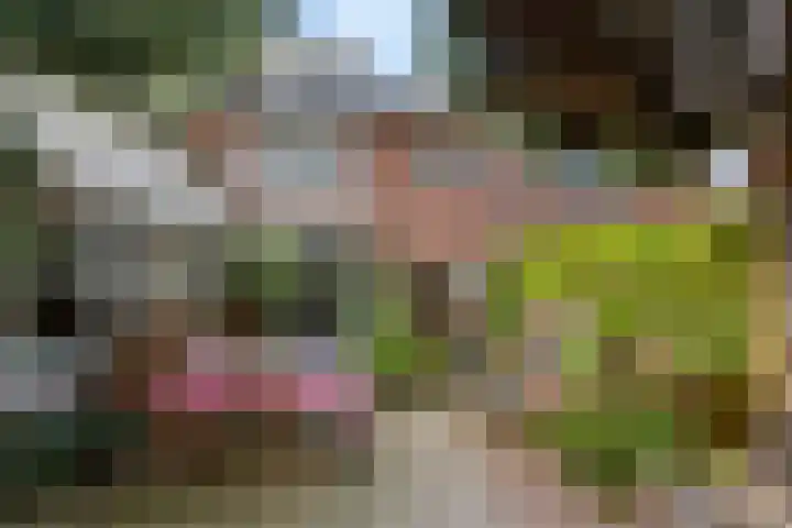 Loosdrechtseweg 129 Hilversum thumbnail 34