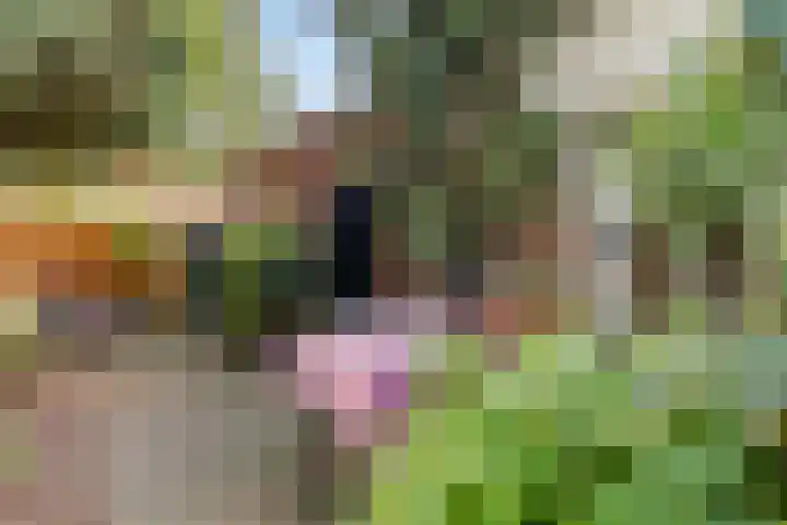 Loosdrechtseweg 129 Hilversum thumbnail 35