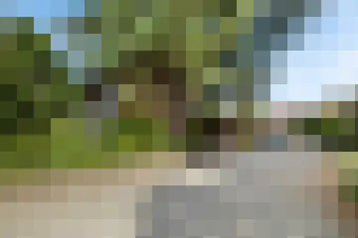 Loosdrechtseweg 129 Hilversum thumbnail 38