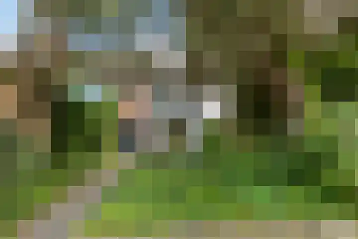 Loosdrechtseweg 129 Hilversum thumbnail 5