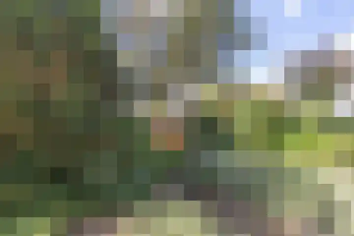 Loosdrechtseweg 129 Hilversum thumbnail 6