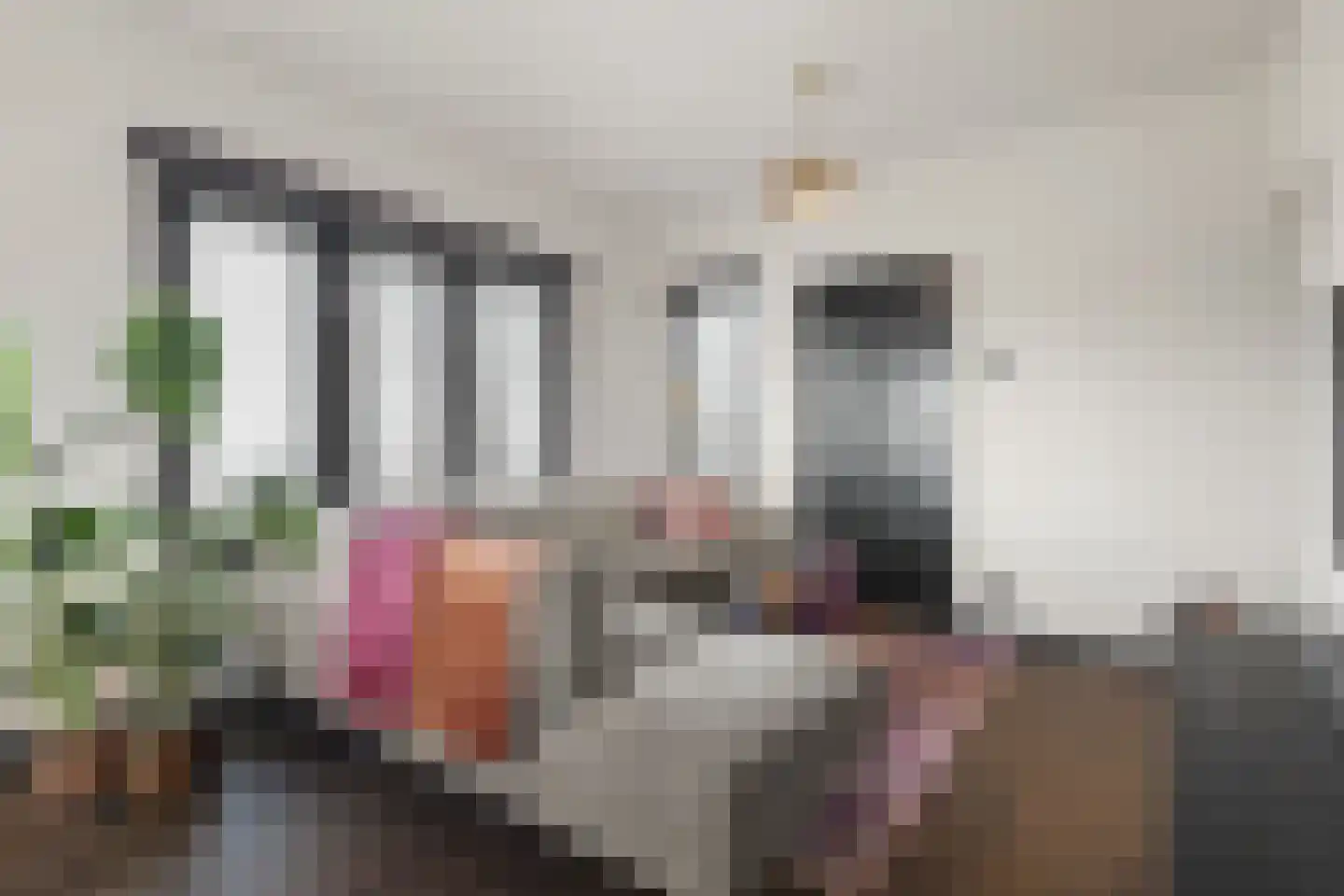 Loosdrechtseweg 149 Hilversum thumbnail 9
