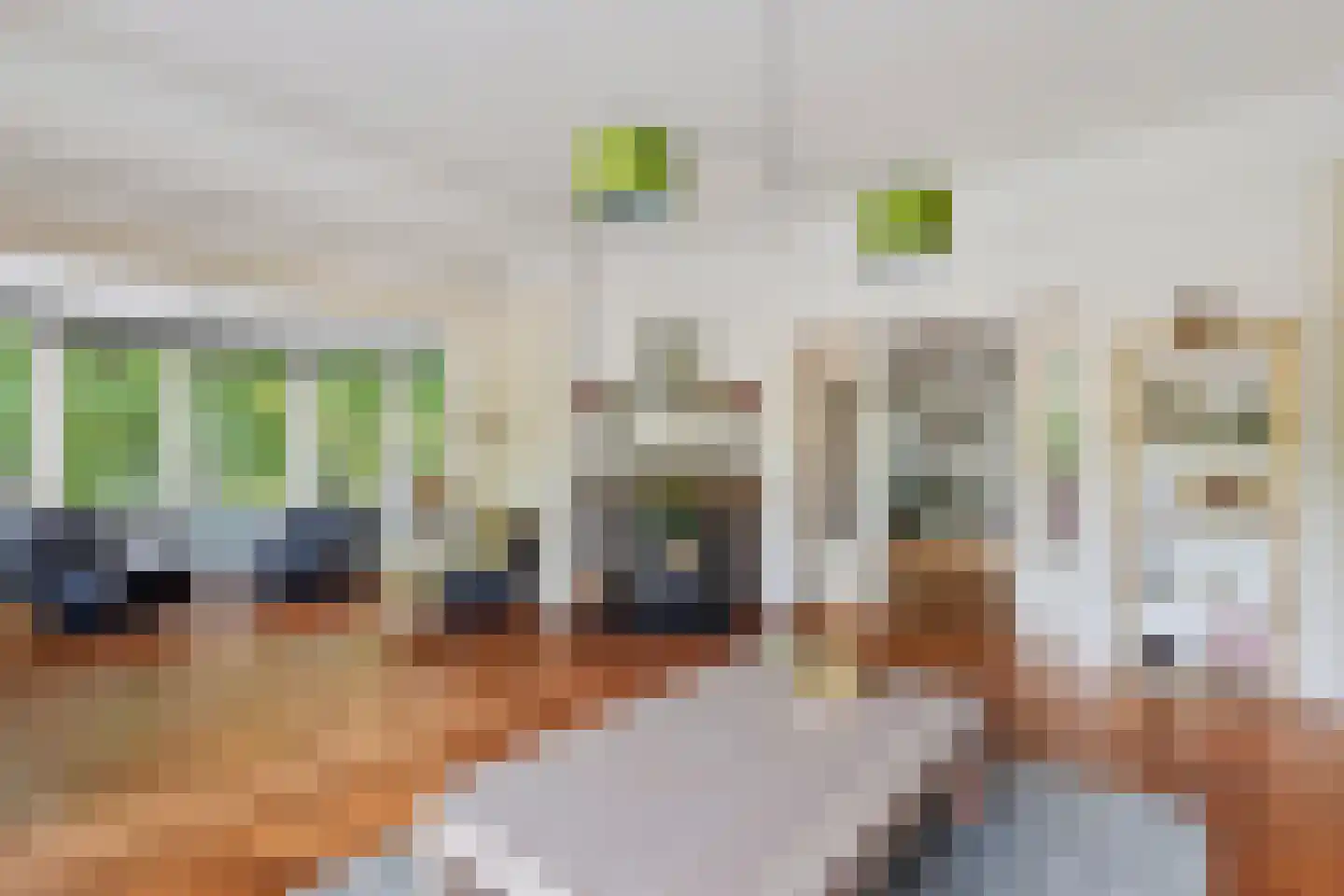 Loosdrechtseweg 19 Hilversum thumbnail 9