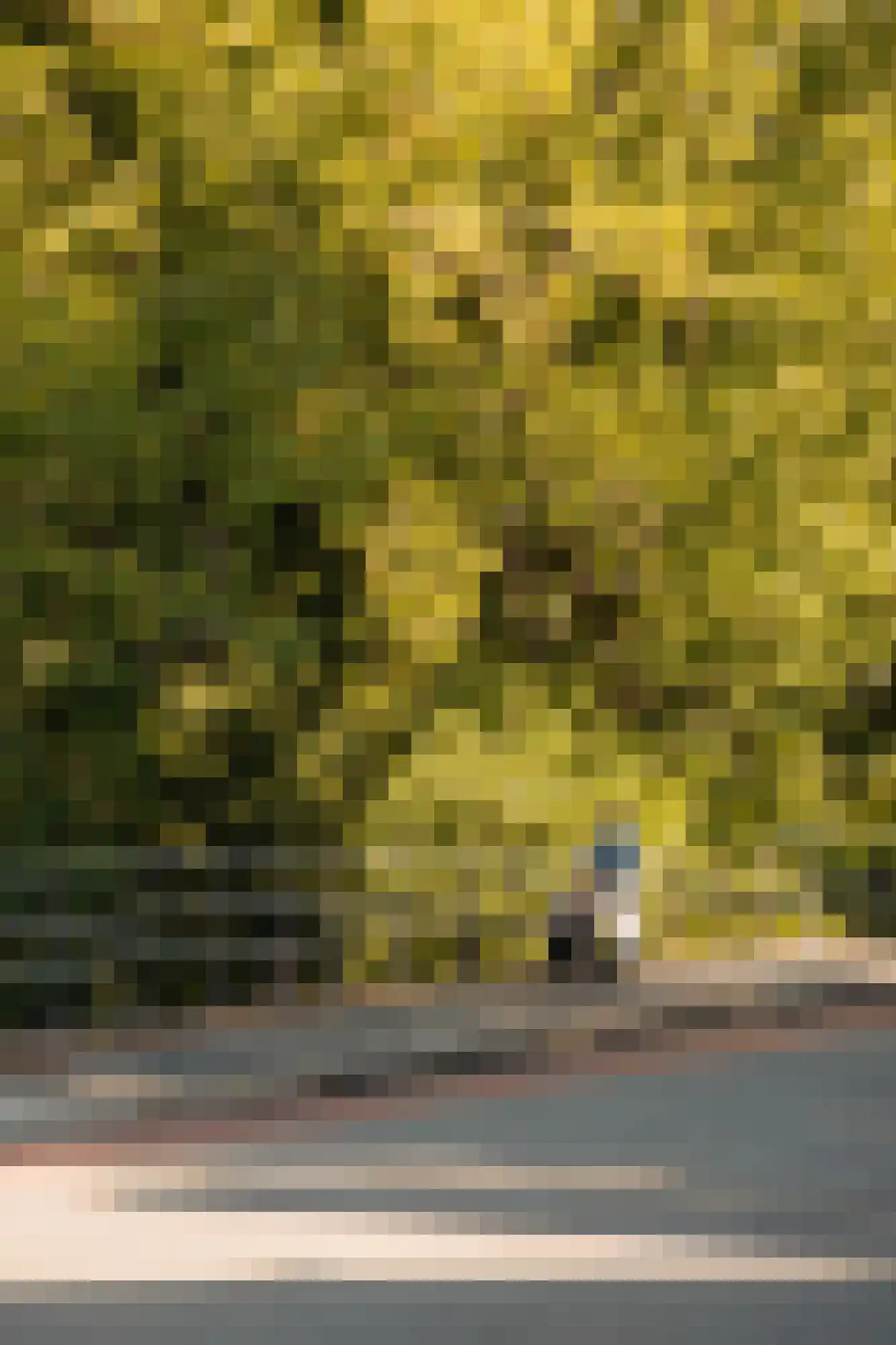 Loosdrechtseweg 20 Hilversum thumbnail 40