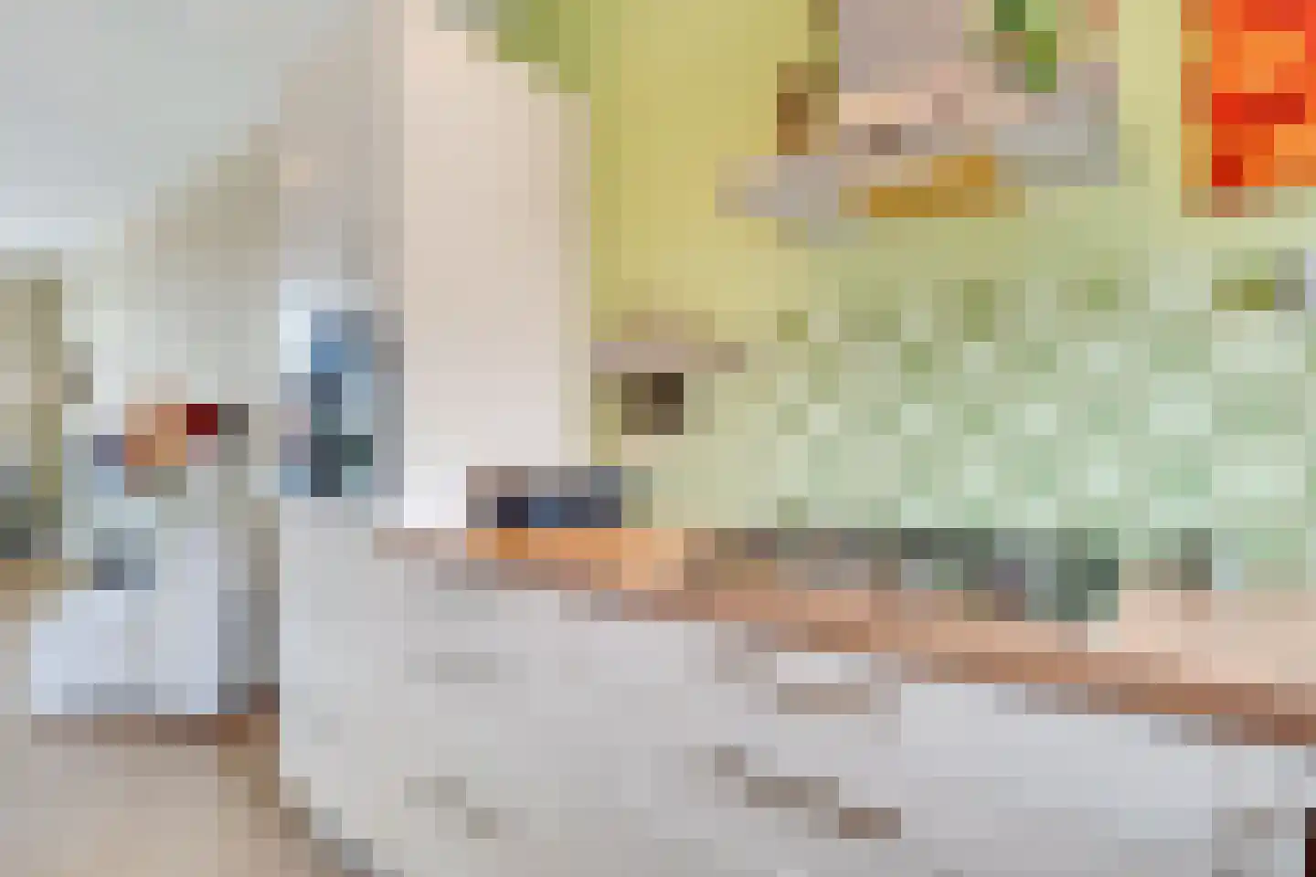 Loosdrechtseweg 225 Hilversum thumbnail 10