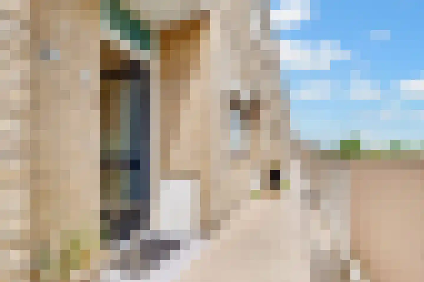 Loosdrechtseweg 225 Hilversum thumbnail 29
