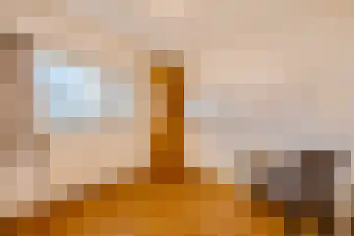 Loosdrechtseweg 249 Hilversum thumbnail 9