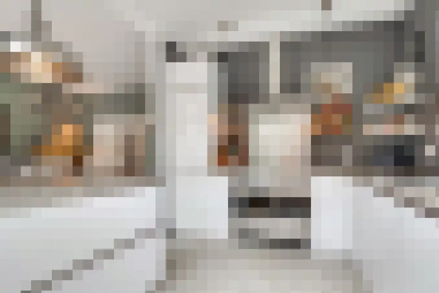 Loosdrechtseweg 25 Hilversum thumbnail 4