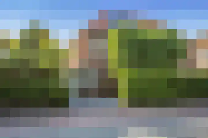 Loosdrechtseweg 53 Hilversum thumbnail 57