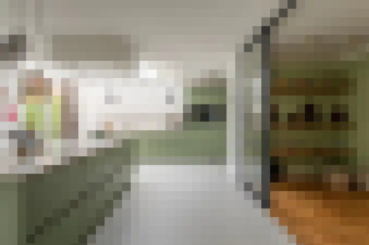 Loosdrechtseweg 80 Hilversum thumbnail 17