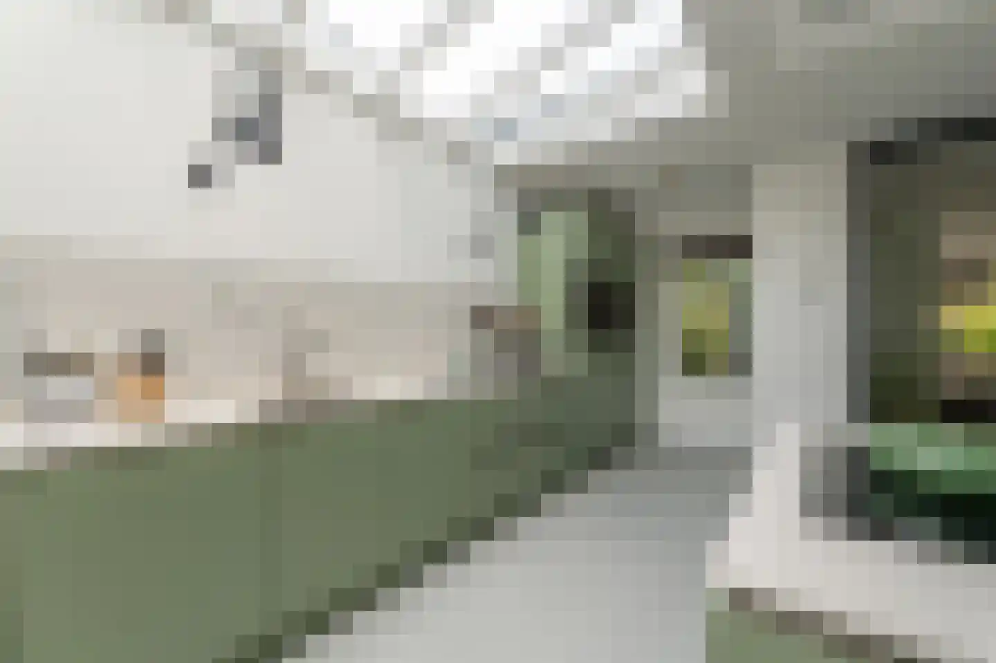 Loosdrechtseweg 80 Hilversum thumbnail 21