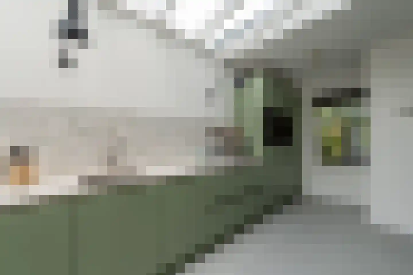 Loosdrechtseweg 80 Hilversum thumbnail 27