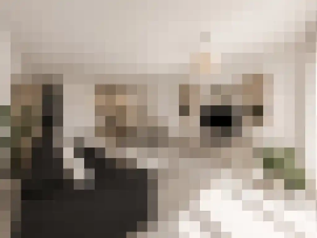 Loosduinenstraat 100 Amsterdam thumbnail 5