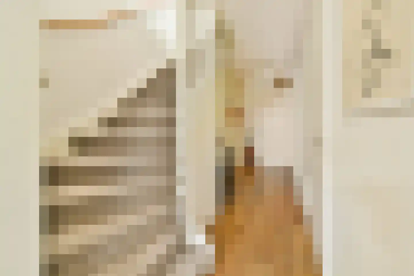 Loosduinenstraat 13 Amsterdam thumbnail 11