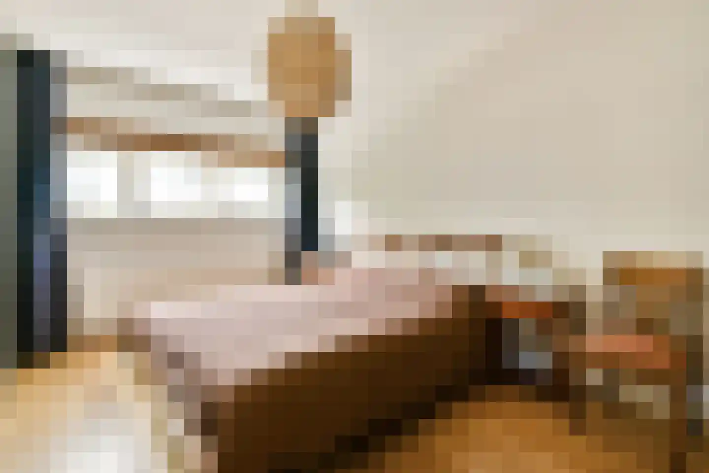 Loosduinenstraat 13 Amsterdam thumbnail 13