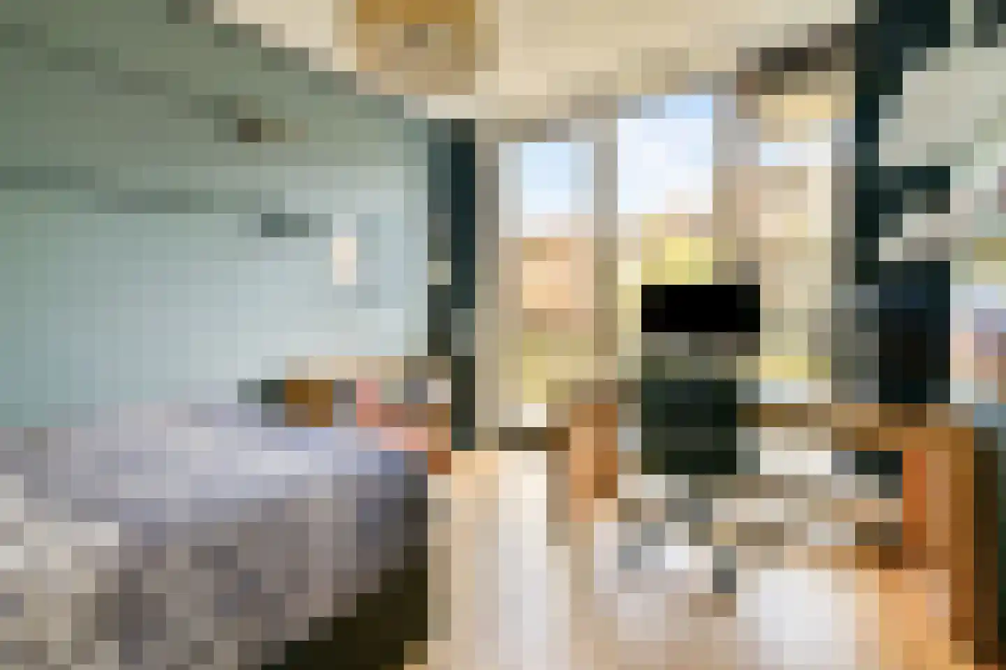 Loosduinenstraat 13 Amsterdam thumbnail 15