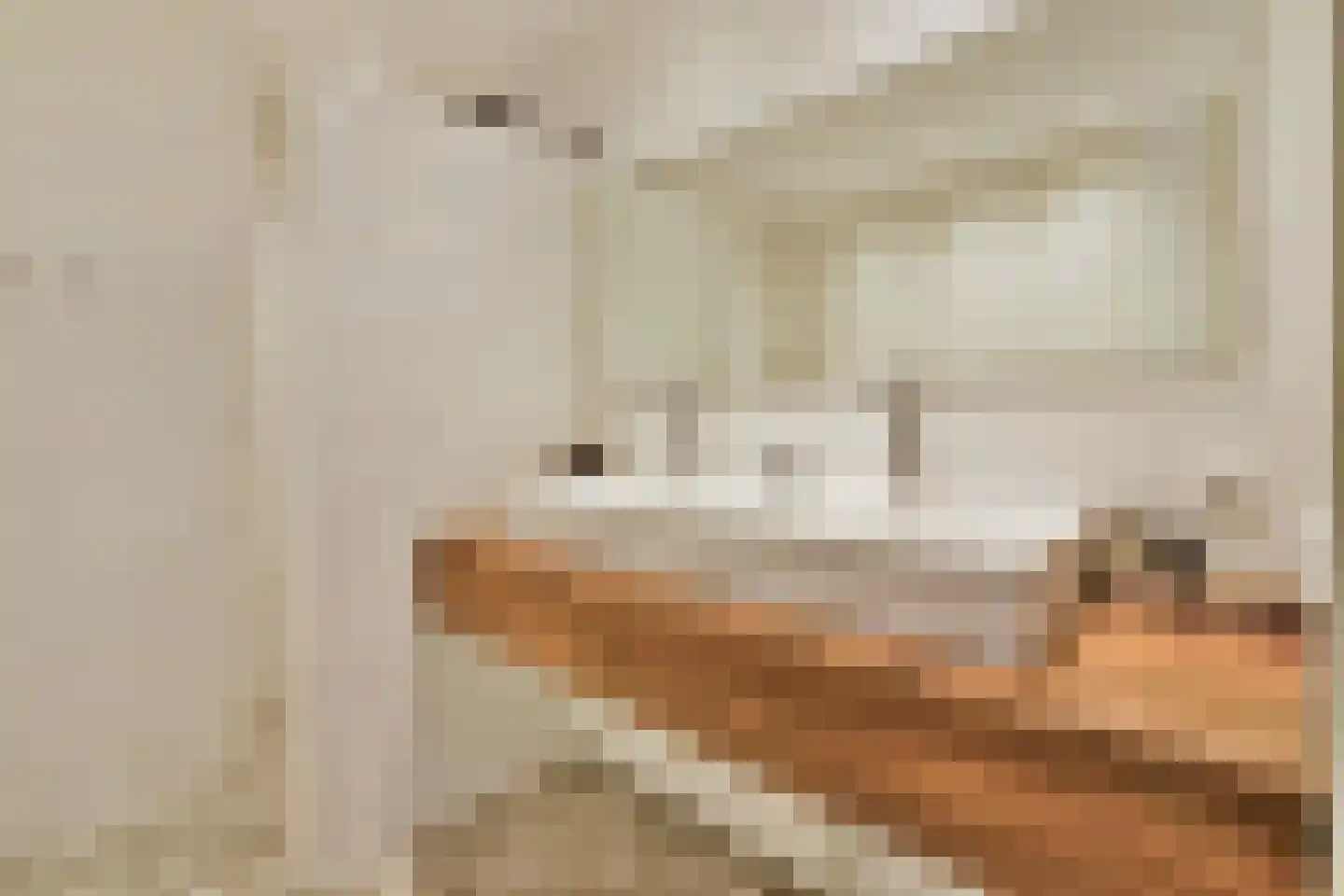 Loosduinenstraat 13 Amsterdam thumbnail 19