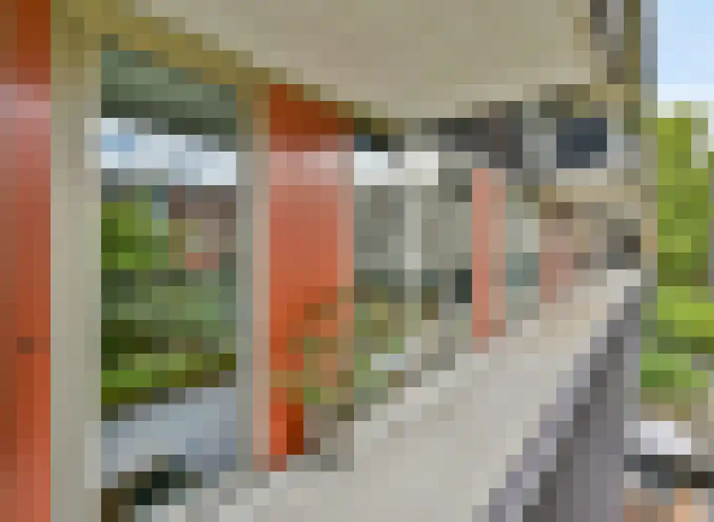 Loosduinenstraat 13 Amsterdam thumbnail 23