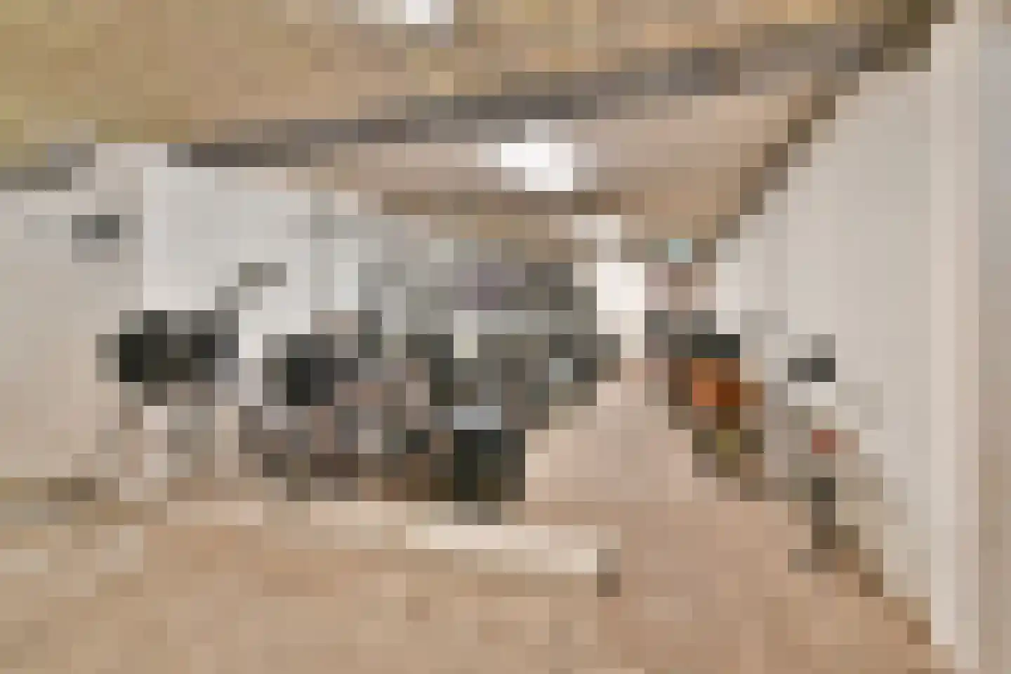 Loosduinenstraat 13 Amsterdam thumbnail 27