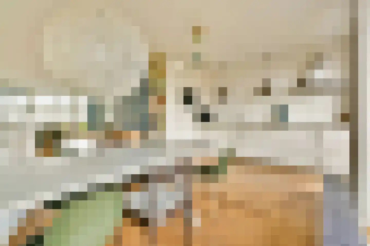 Loosduinenstraat 13 Amsterdam thumbnail 6