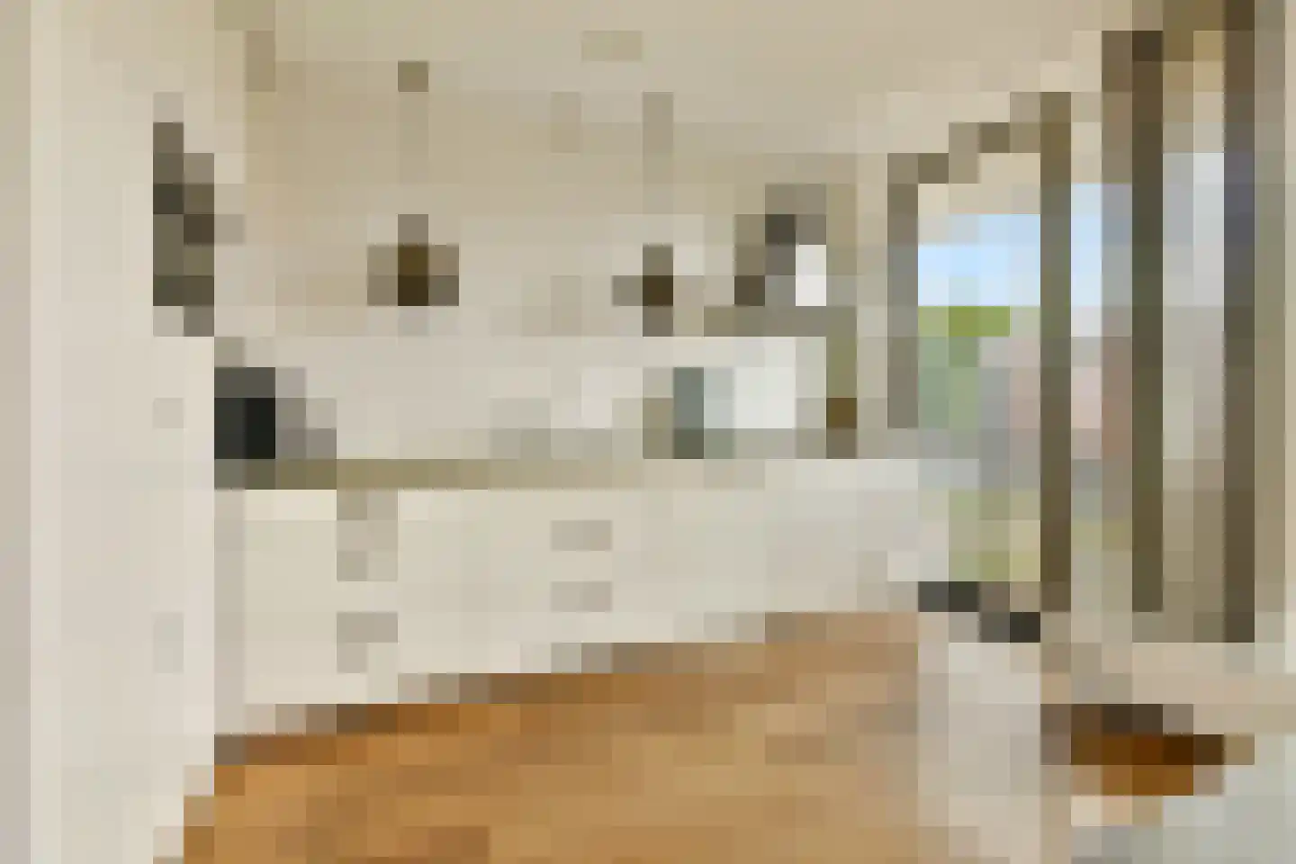 Loosduinenstraat 13 Amsterdam thumbnail 7