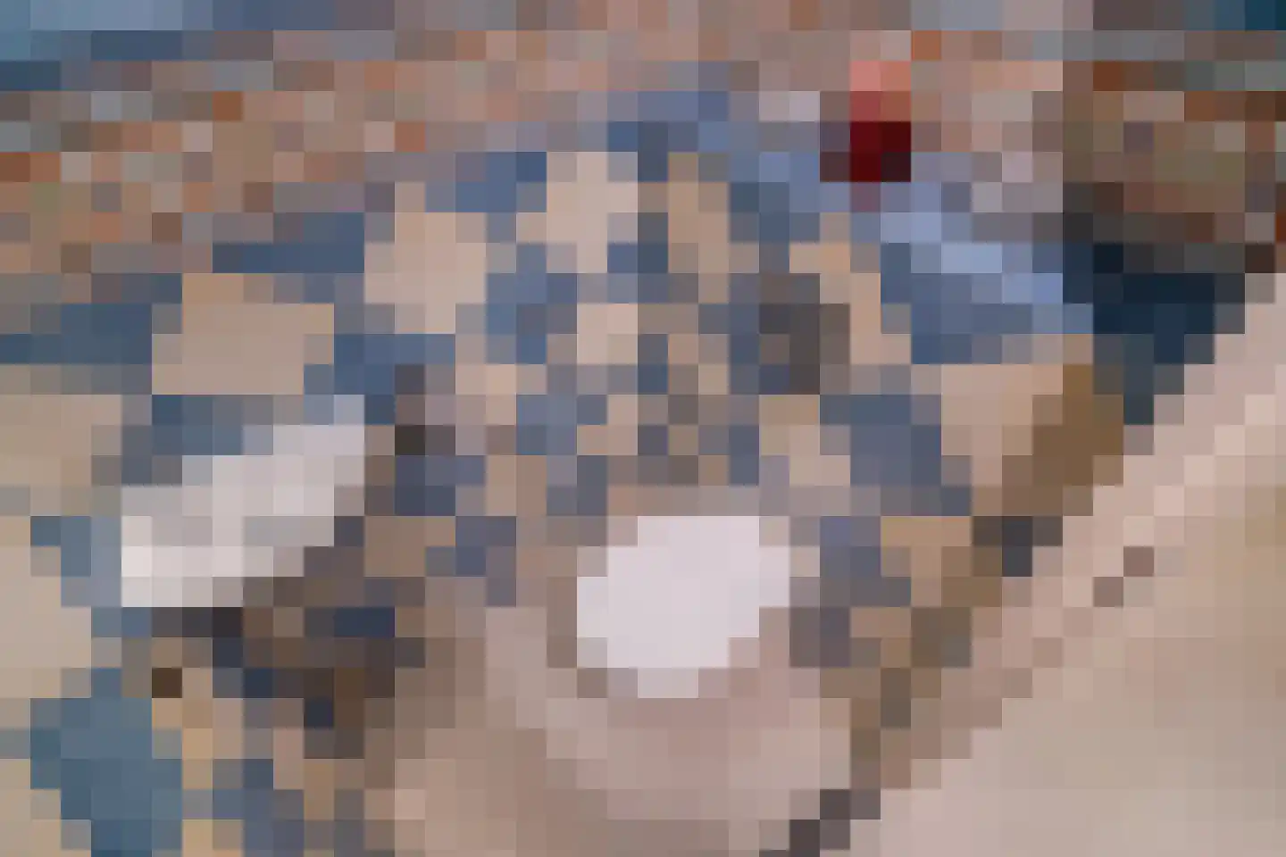 Loosduinenstraat 37 Zoetermeer thumbnail 22