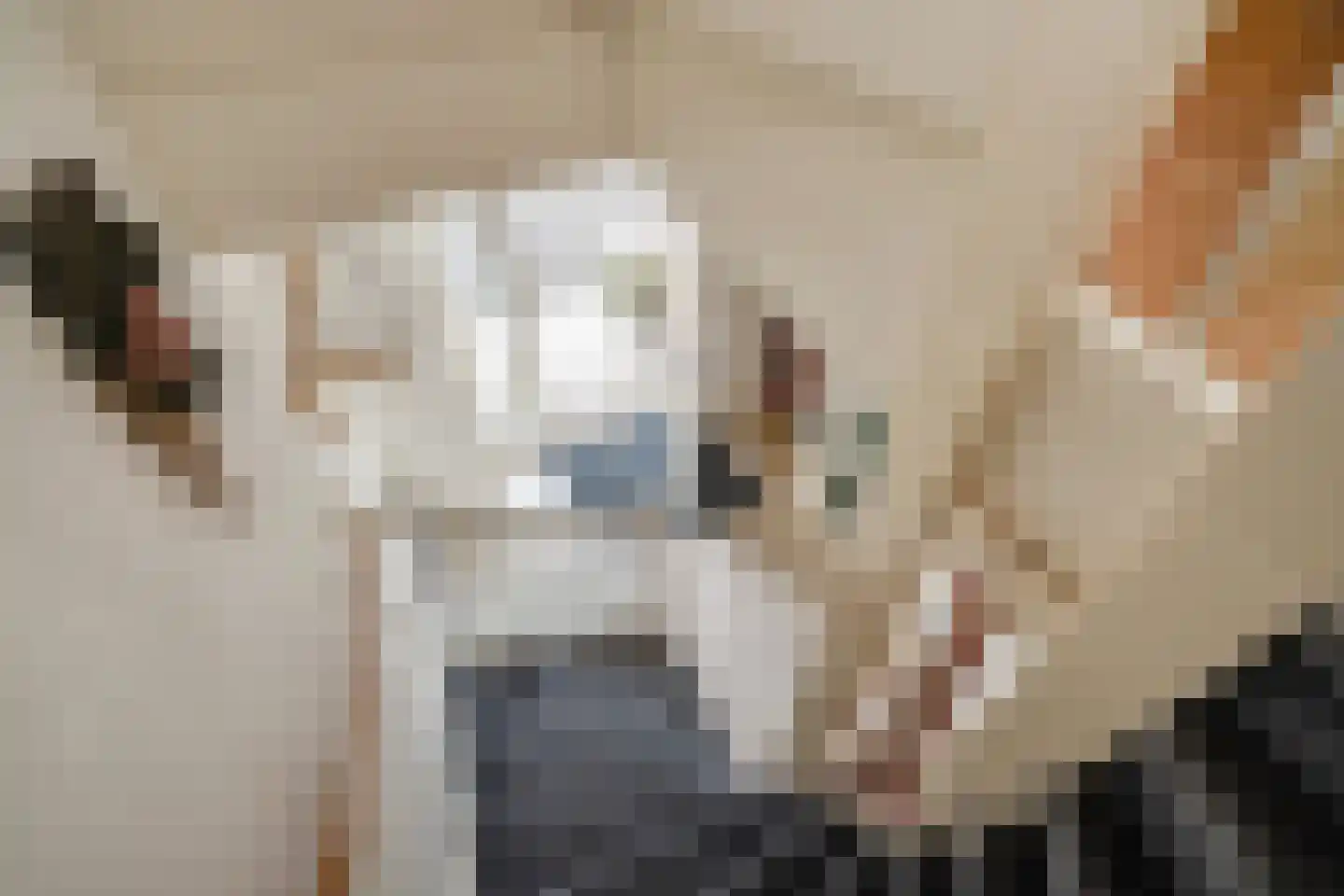 Loosduinenstraat 37 Zoetermeer thumbnail 23