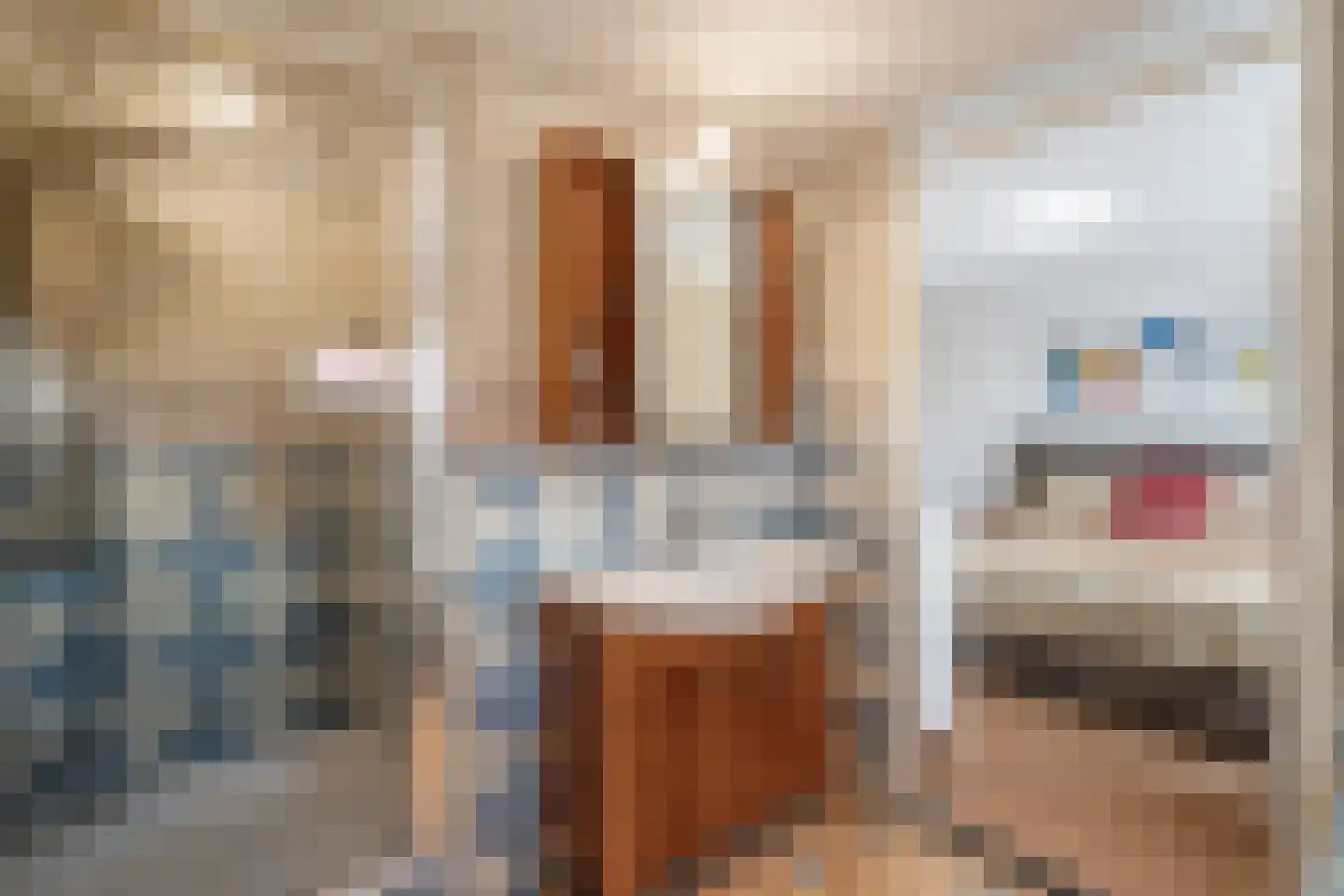 Loosduinenstraat 37 Zoetermeer thumbnail 29