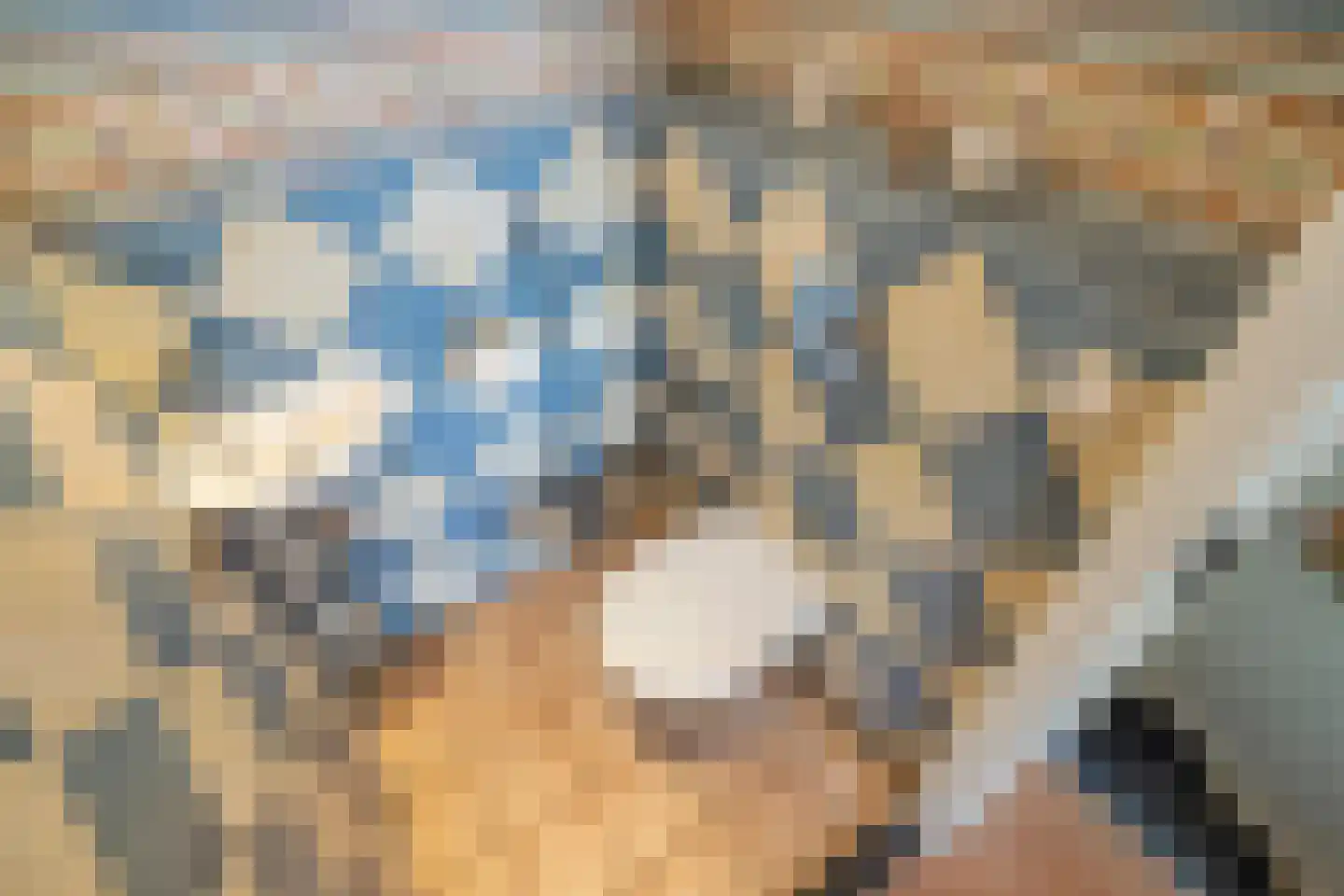 Loosduinenstraat 37 Zoetermeer thumbnail 32