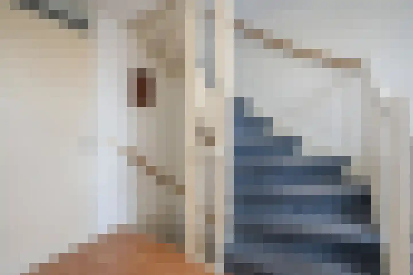 Loosduinenstraat 37 Zoetermeer thumbnail 33