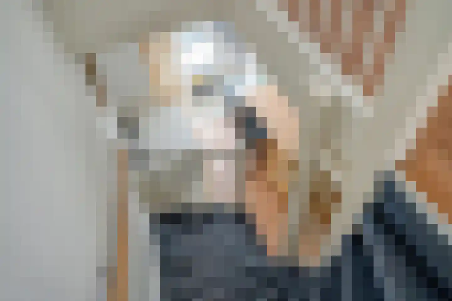 Loosduinenstraat 37 Zoetermeer thumbnail 34