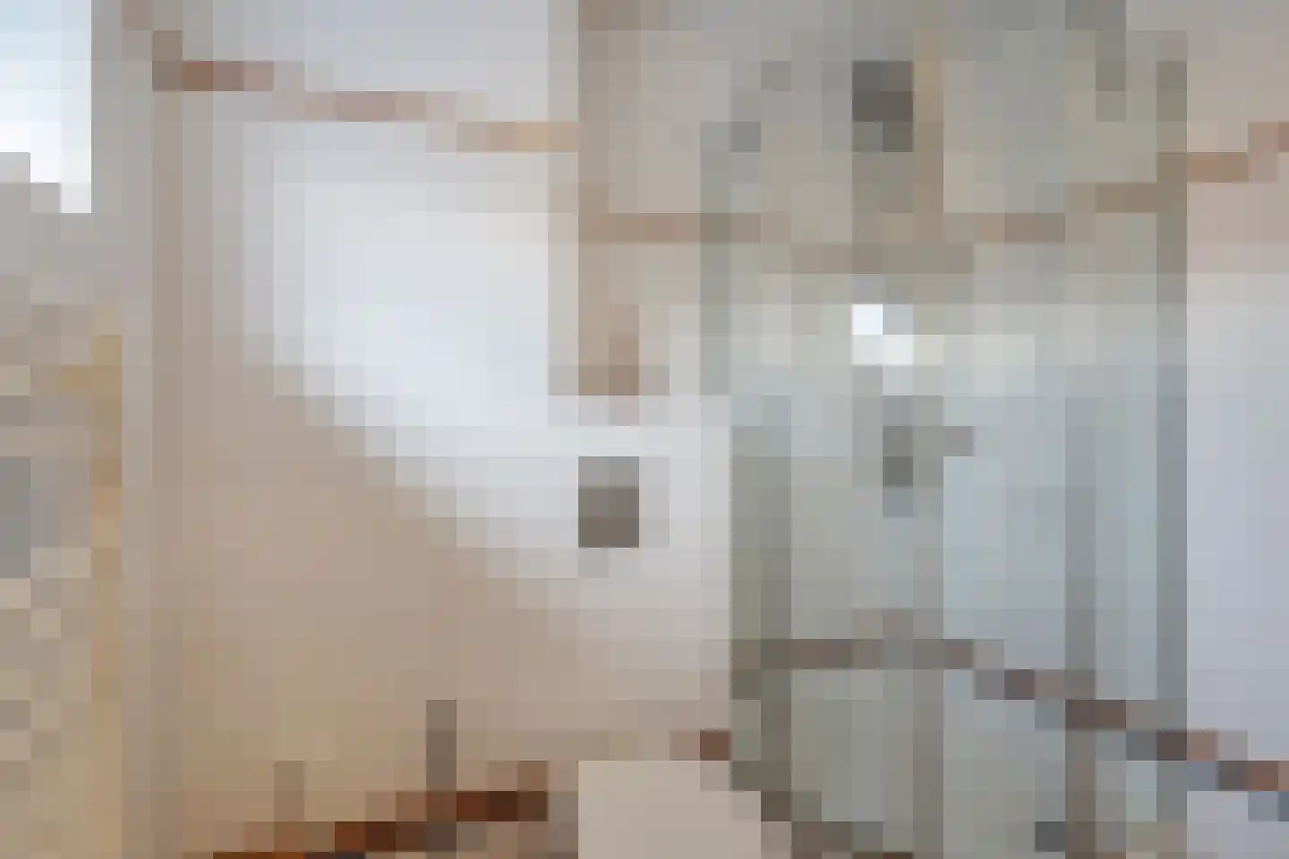 Loosduinenstraat 37 Zoetermeer thumbnail 38