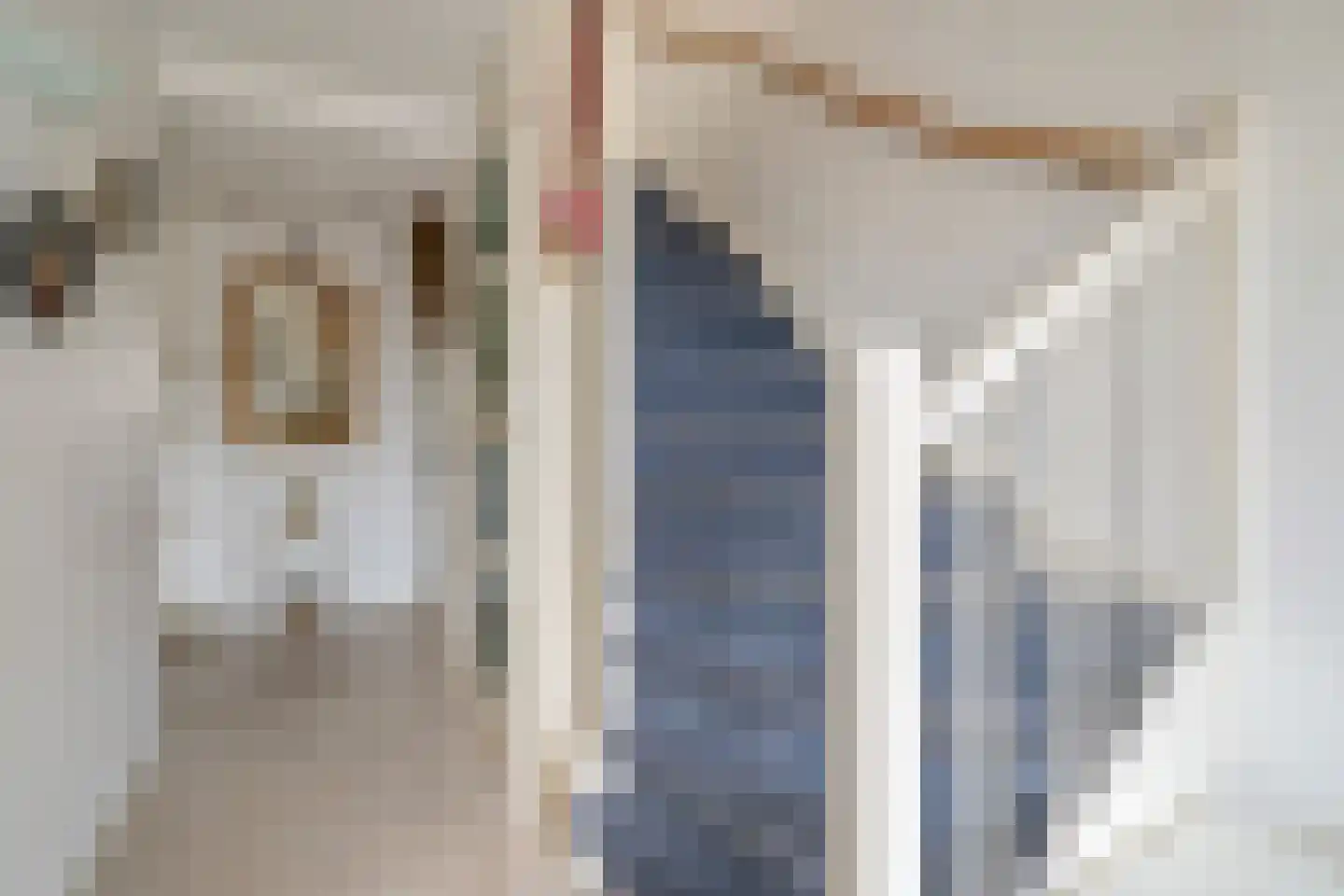 Loosduinenstraat 37 Zoetermeer thumbnail 5