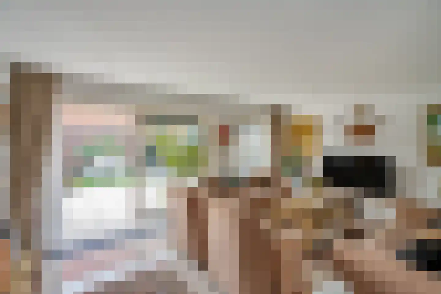 Loosduinenstraat 37 Zoetermeer thumbnail 9