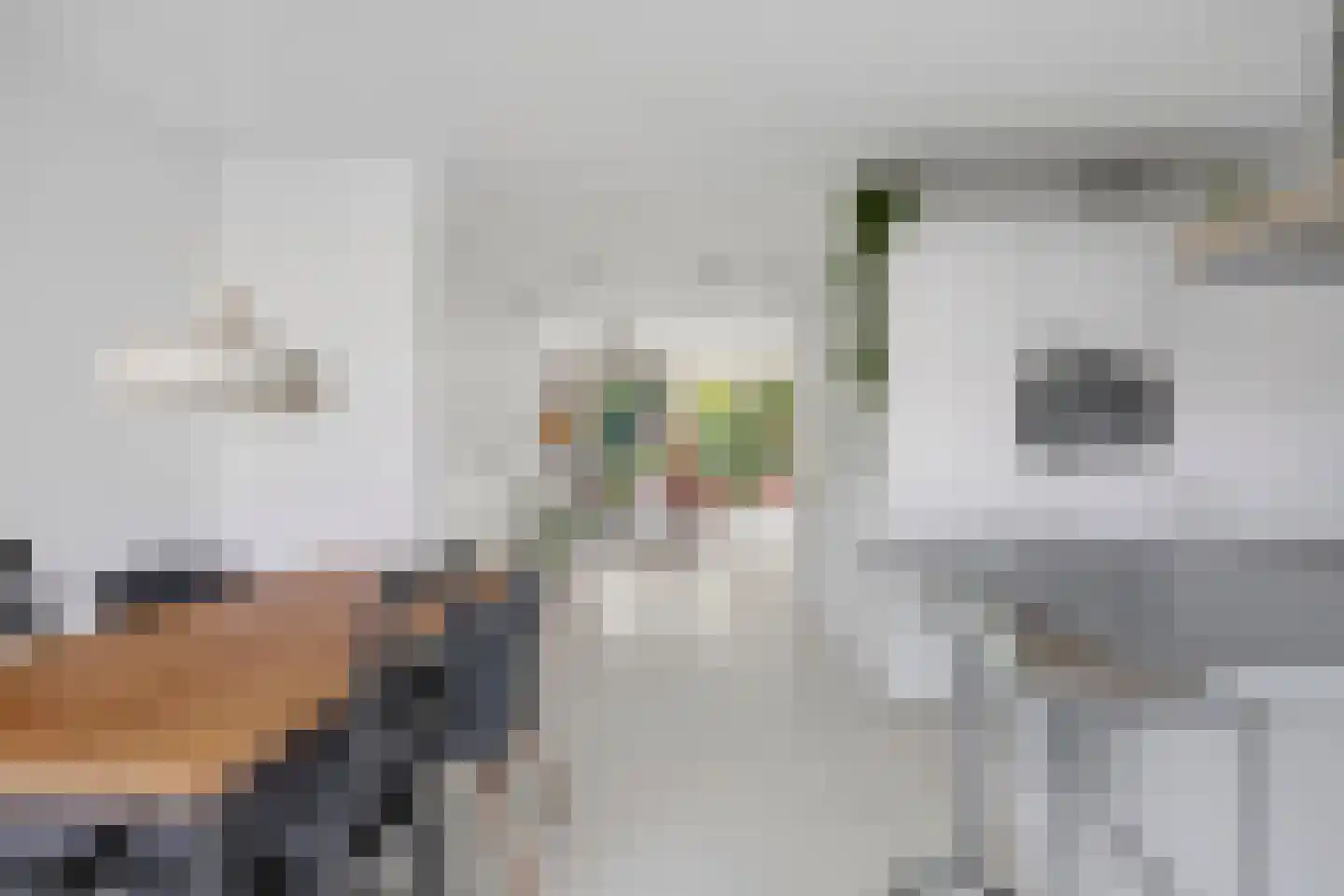 Loosduinenstraat 67 Amsterdam thumbnail 12