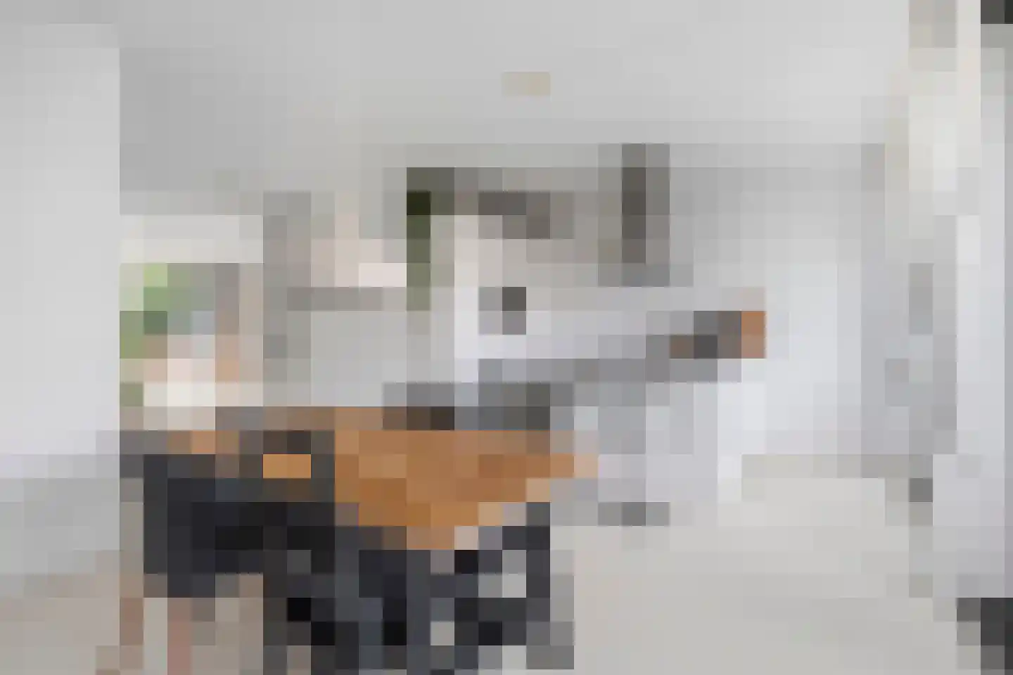 Loosduinenstraat 67 Amsterdam thumbnail 13