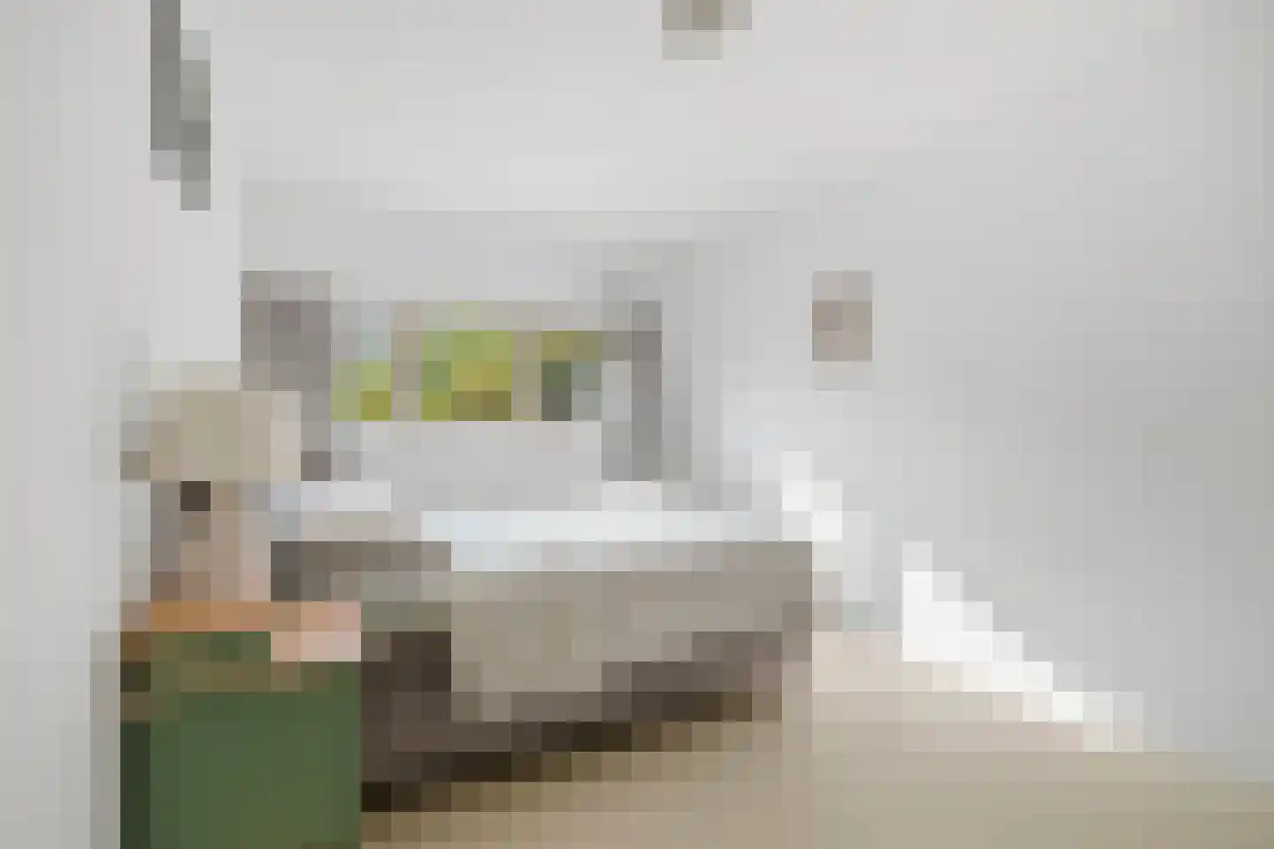 Loosduinenstraat 67 Amsterdam thumbnail 28