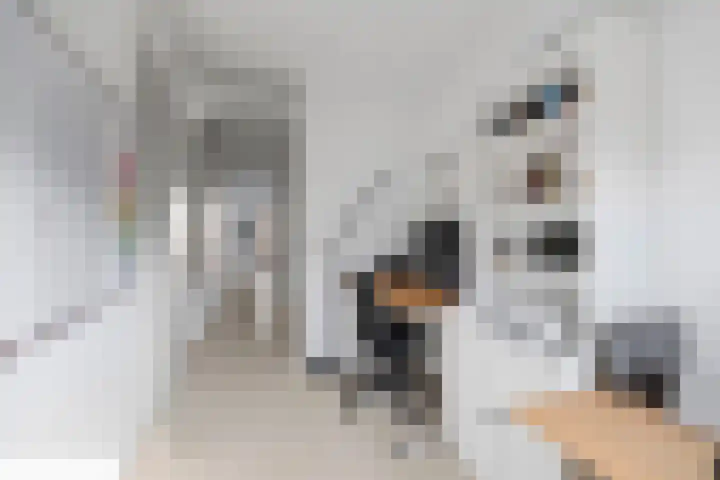 Loosduinenstraat 67 Amsterdam thumbnail 30
