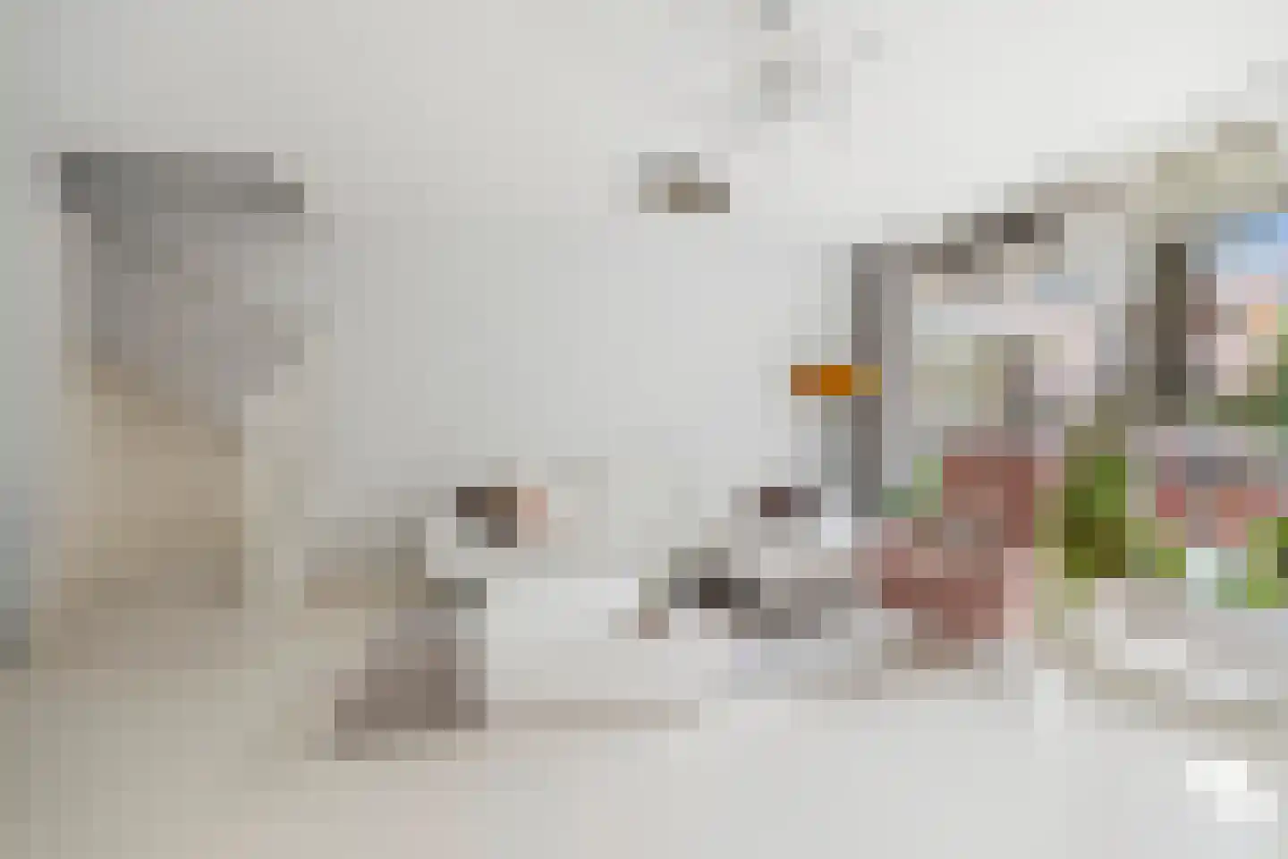 Loosduinenstraat 67 Amsterdam thumbnail 4