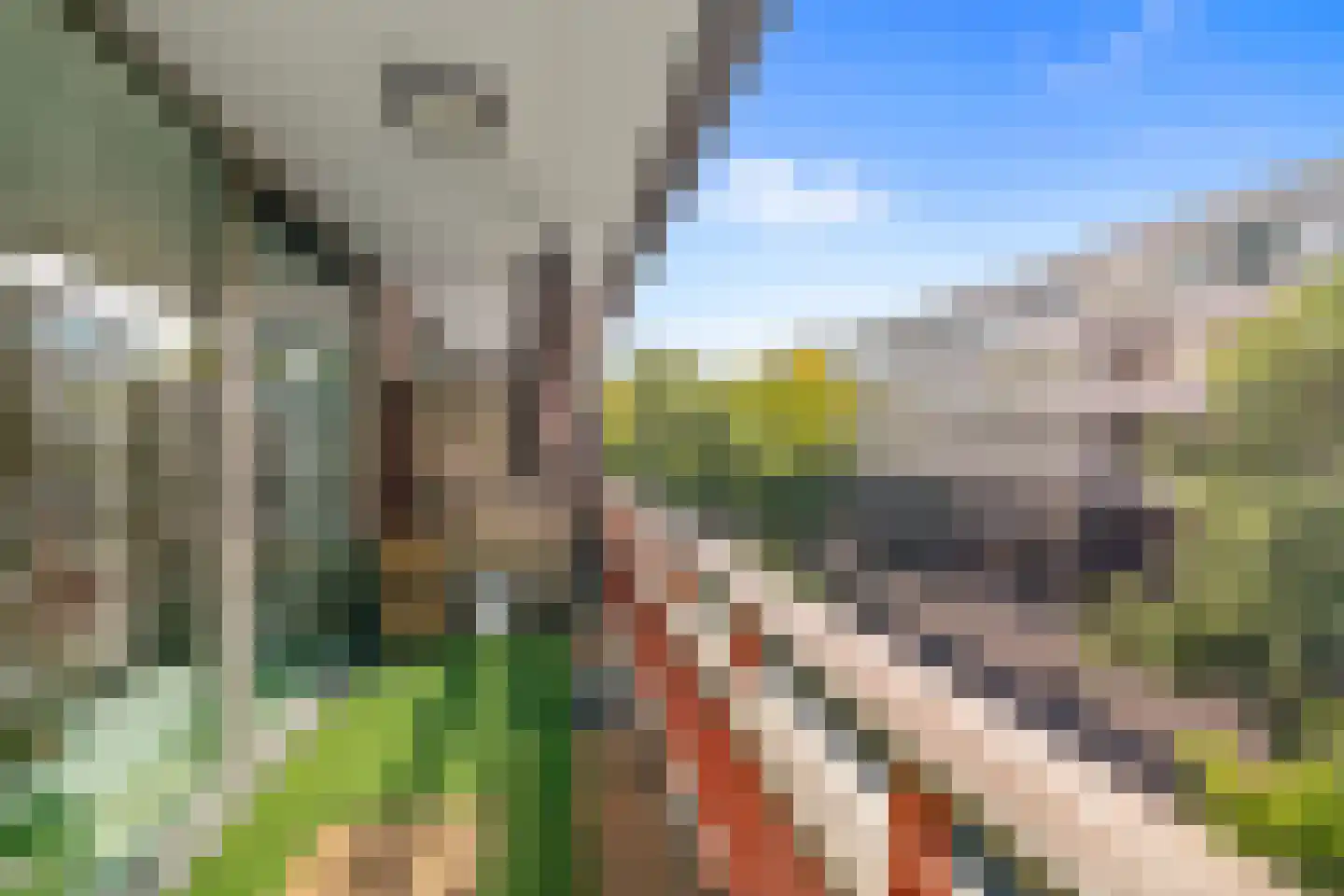 Loosduinenstraat 67 Amsterdam thumbnail 7